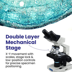OMAX M82ES coaxial coarse and fine focus knobs allow precise adjustments on both sides.