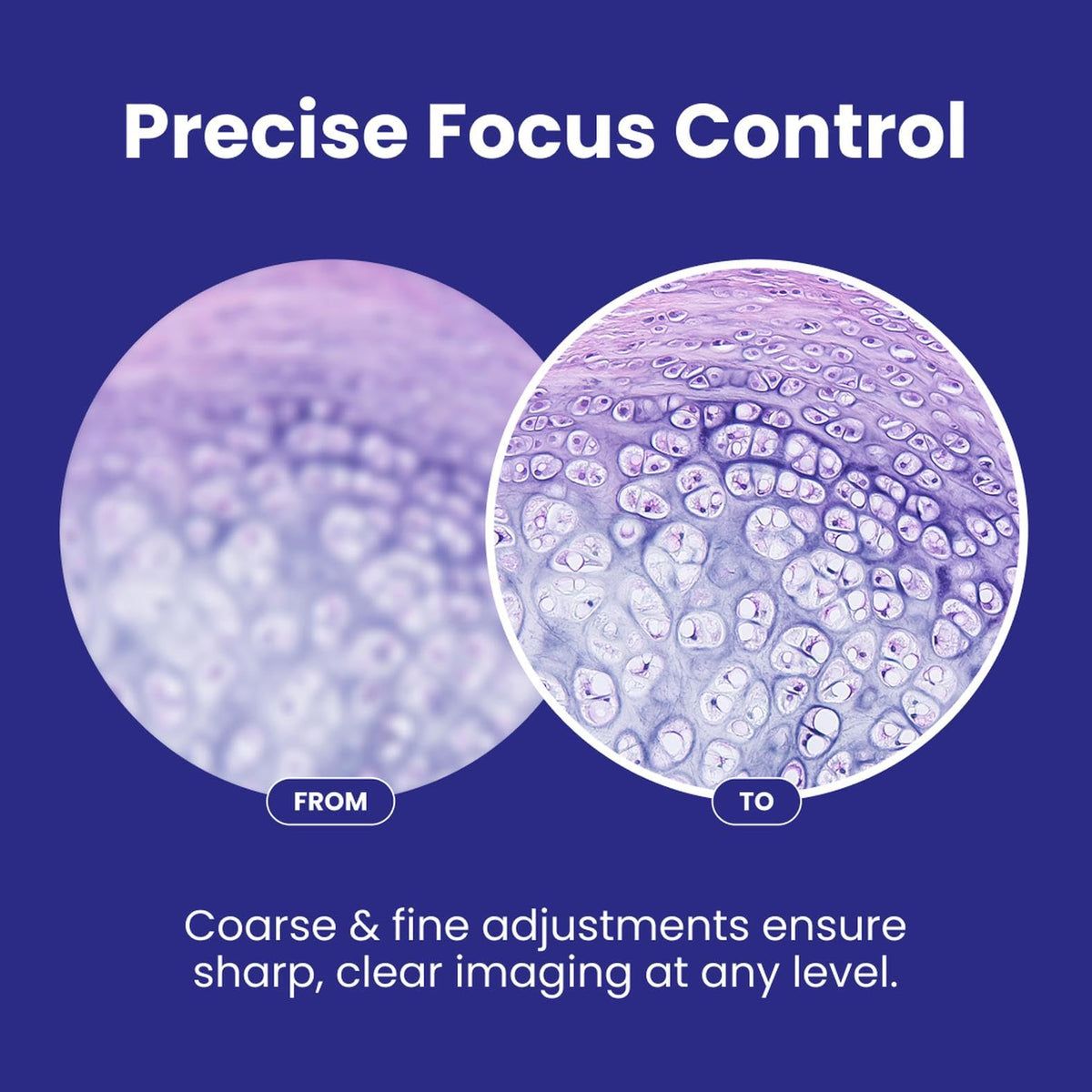 OMAX M82ES WF10X/WF20X eyepieces offer wide field views for efficient scanning.