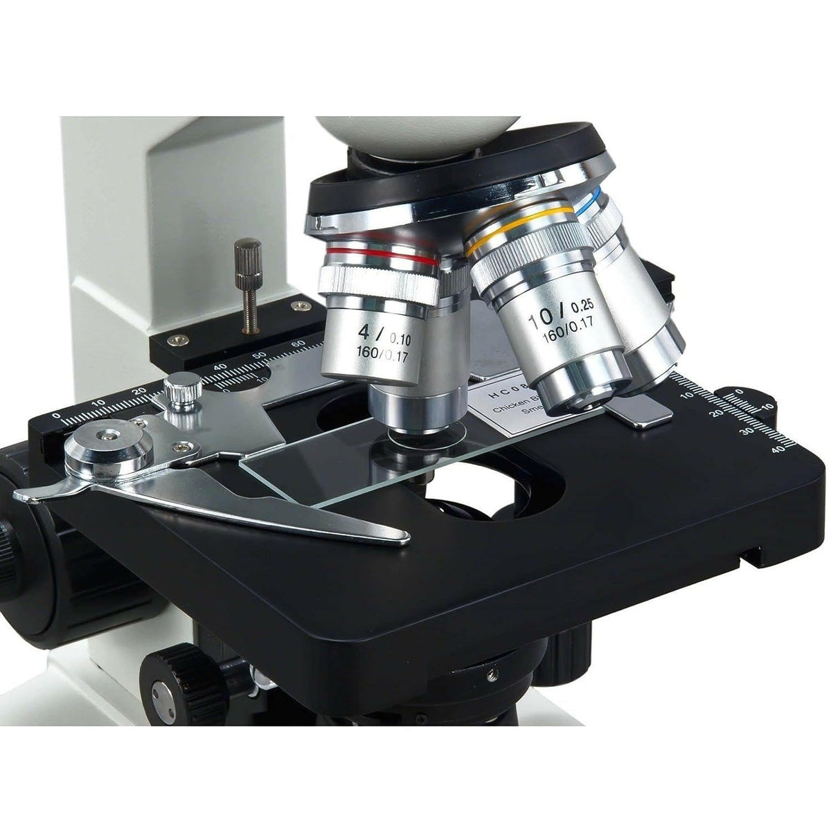 Coaxial coarse and fine focus knobs on both sides for precise adjustments