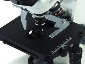 OMAX X-Y mechanical stage offers precise movement and measurement reference.