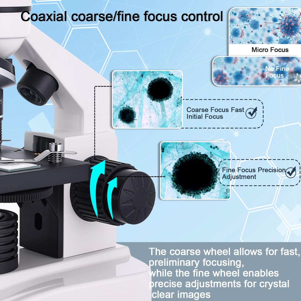 OOZSTAR microscope slide tray ready for prepared slides and exploration