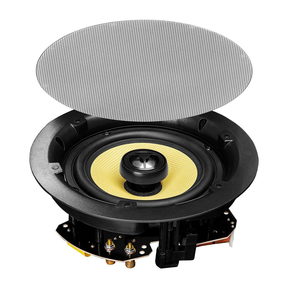 ACE650 6.5-inch Kevlar woofer for tight bass and clarity