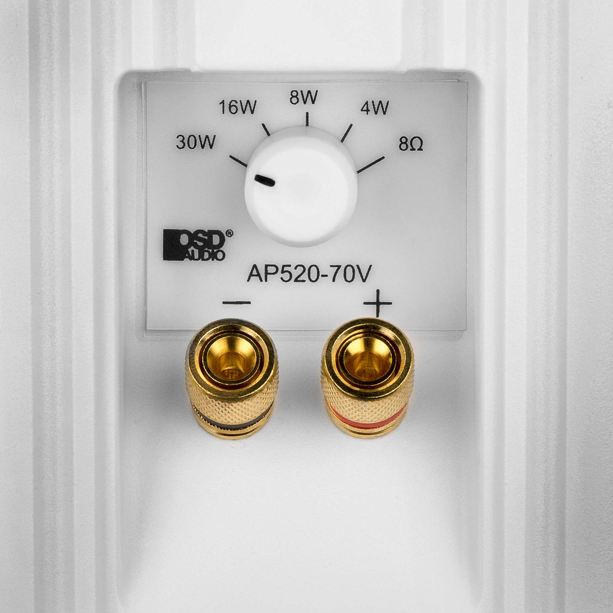 OSD Audio AP520 white pair blends with exterior decor and lifestyle spaces.