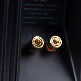 OSD Audio gold-plated binding posts ensure reliable connectivity.