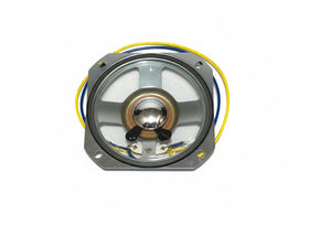 Pacific Electronics VSO lobby speaker front view for crisp lobby audio