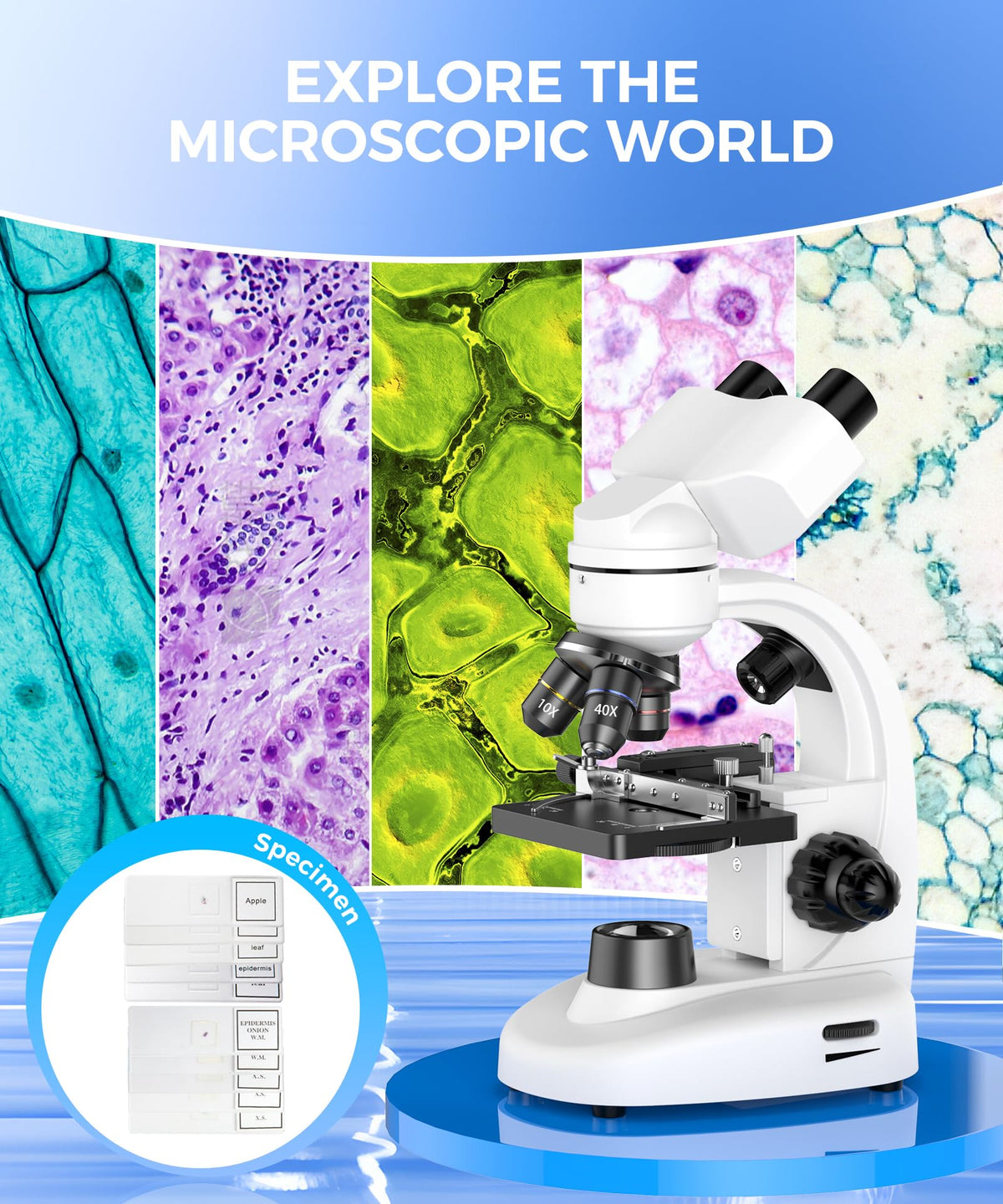 PalliPartners mechanical stage offers precise slide control for focused observation in labs and classrooms.