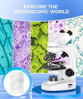 PalliPartners mechanical stage offers precise slide control for focused observation in labs and classrooms.