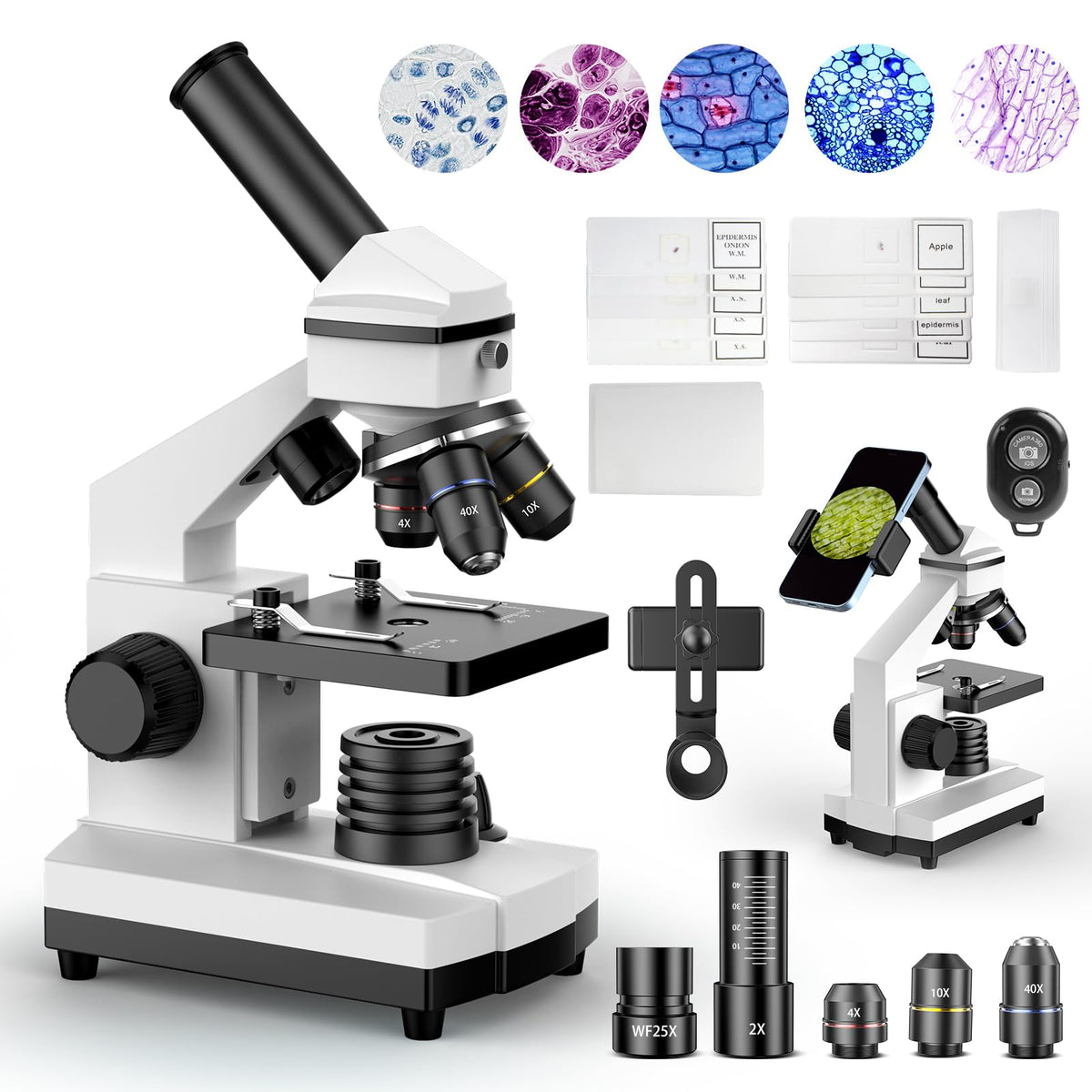PalliPartners compound microscope front view for classroom and home science exploration.