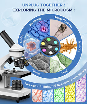 PalliPartners compound microscope precision optics for clear cell study.