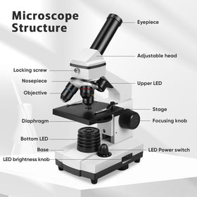 PALOBIL microscope cell phone adapter enables quick photo capture of specimens.