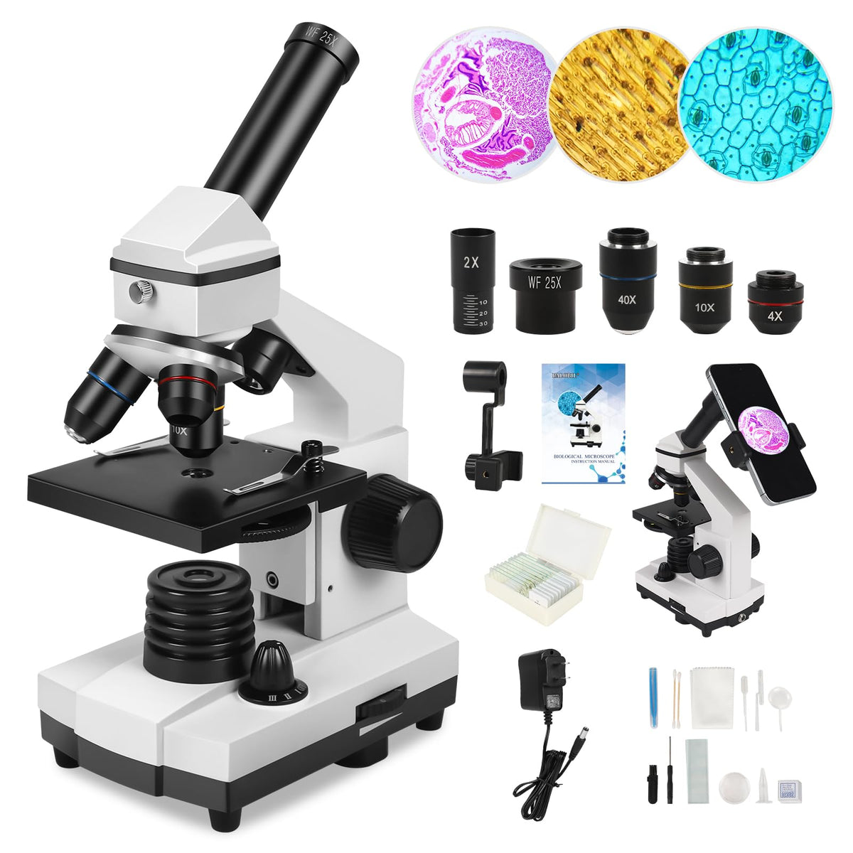 PALOBIL microscope professional setup shows a durable build for extended study sessions.