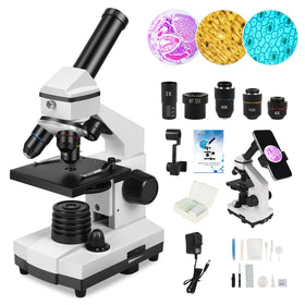 PALOBIL microscope professional setup shows a durable build for extended study sessions.