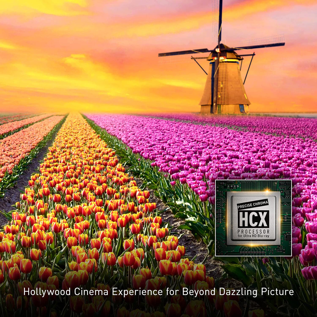 Panasonic DP-UB820-K studio master sound with Hi-Res audio