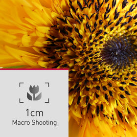 Panasonic LUMIX FZ80D Post Focus lets you select the sharp area after shot.