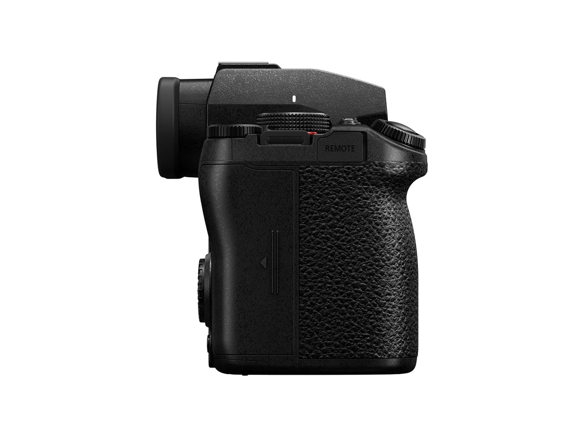 Panasonic LUMIX G9II Leica Monochrome and LUT for creative tones.