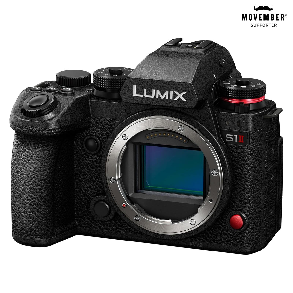 Panasonic LUMIX S1II 24.1MP stills delivering crisp detail for portraits