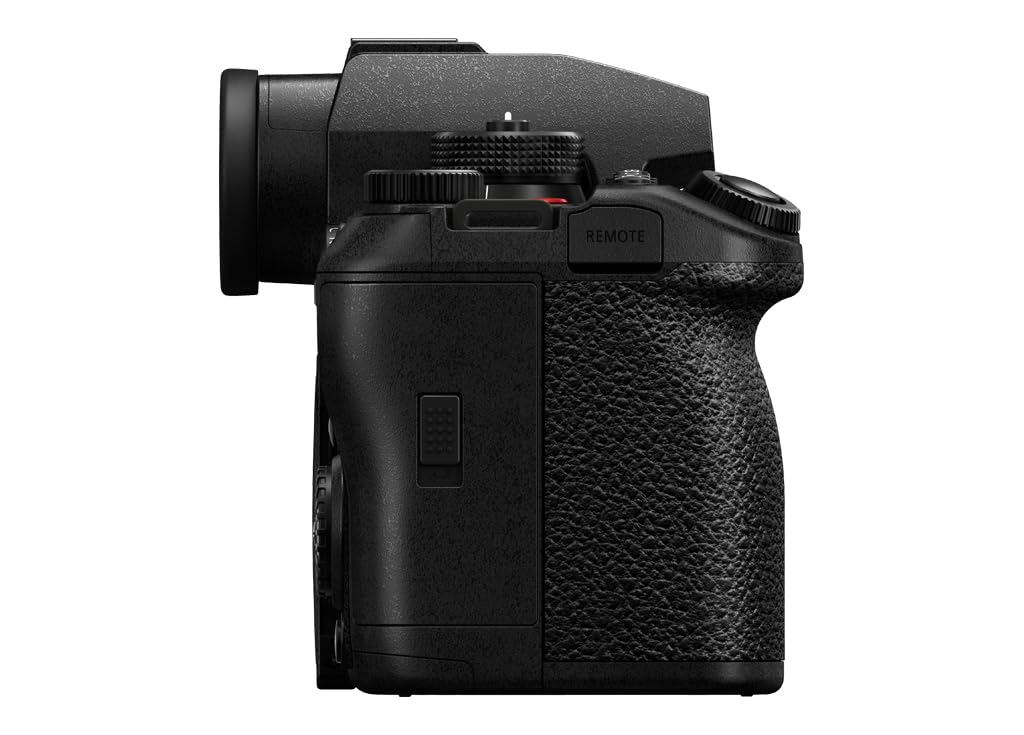 Panasonic Lumix S1II high-resolution OLED viewfinder for clear outdoors framing.