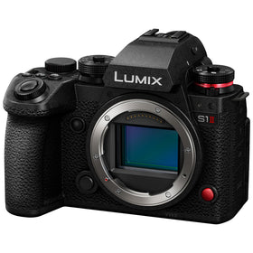 Panasonic Lumix S1II 24.1MP sensor close-up highlighting true-to-life detail and color.