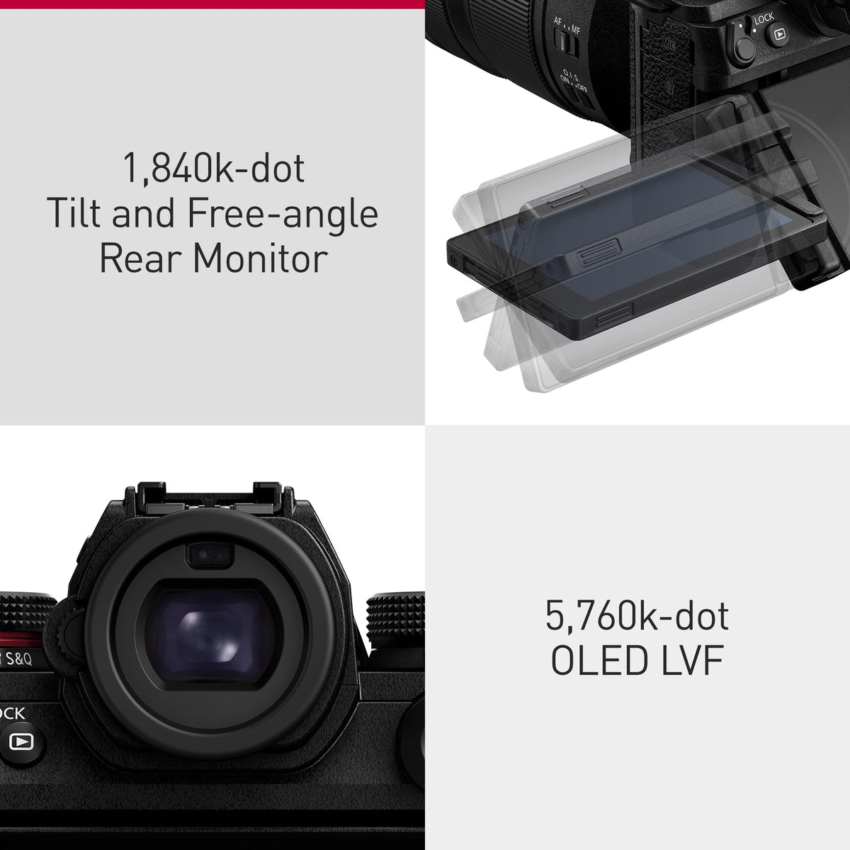 Panasonic LUMIX S1RII Active I.S for smooth handheld shooting.