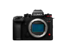 Panasonic LUMIX S1RII full-frame sensor delivers rich detail for true-to-life images.