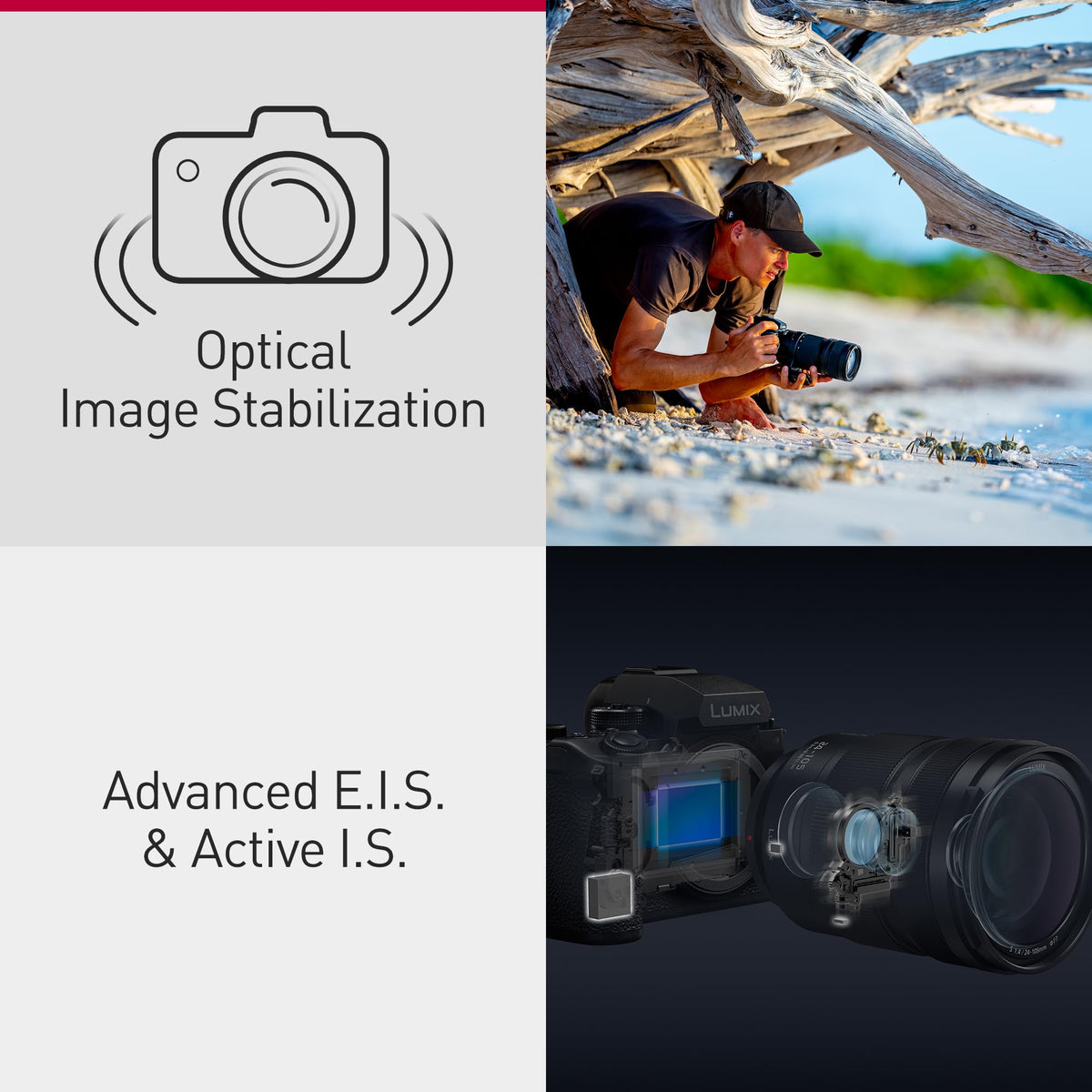 Panasonic LUMIX S1RII Phase Hybrid AF with AI improves tracking.