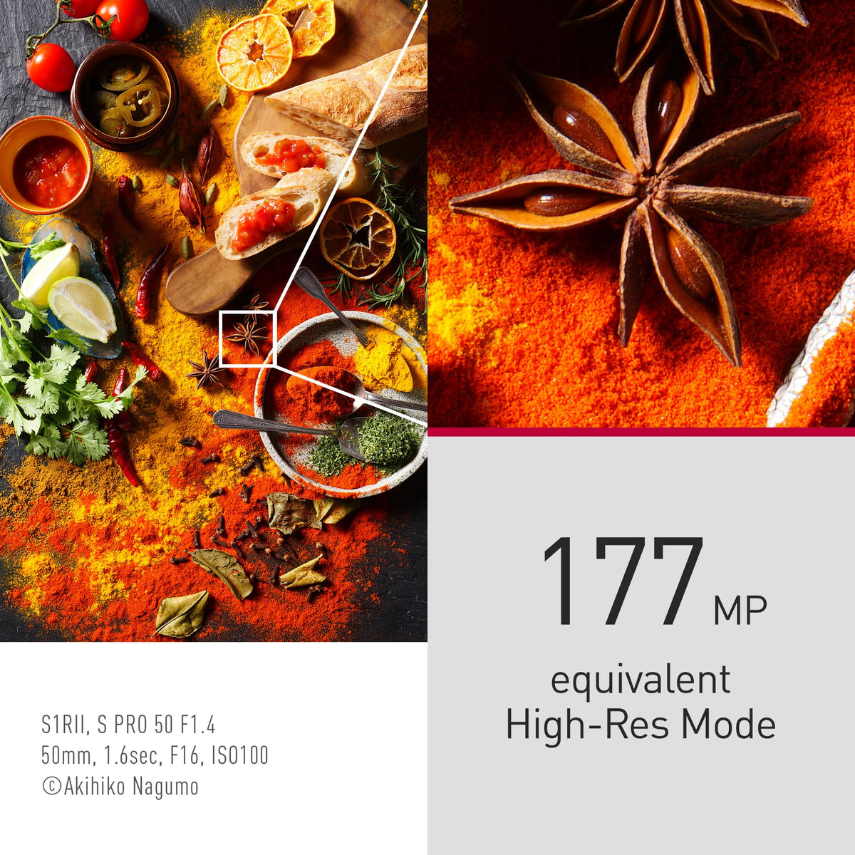 Panasonic LUMIX S1RII wide dynamic range delivers balanced shadows and highlights.