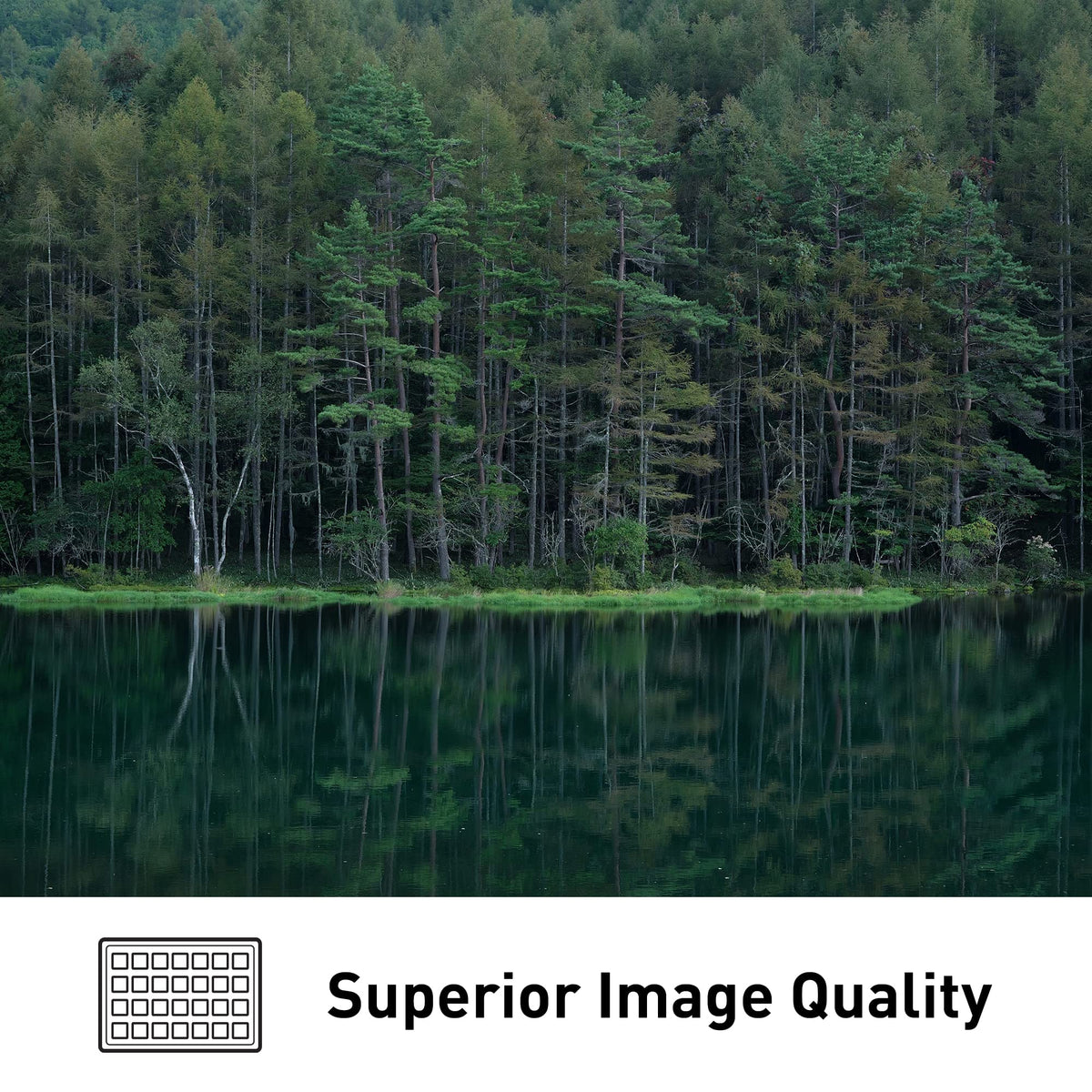 Panasonic LUMIX S5II Active I.S. stabilizing handheld video for smoother footage.