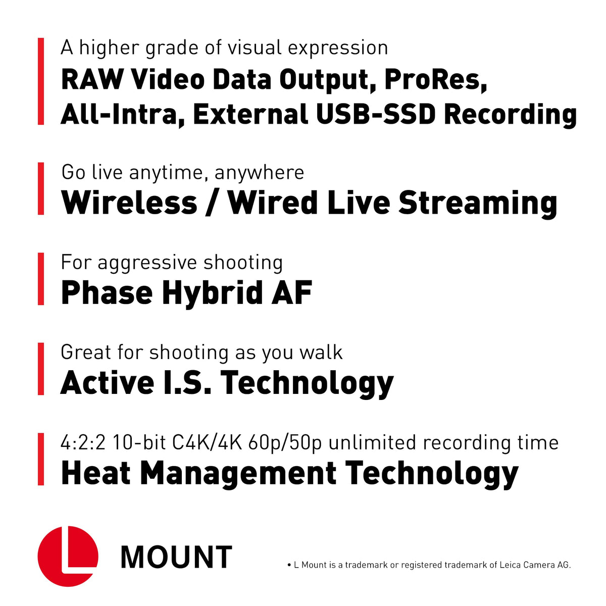 Panasonic LUMIX S5IIX autofocus-tracking maintains subjects in motion.