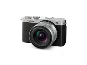 Panasonic LUMIX S9 with 18-40mm lens for versatile portraits and landscapes.