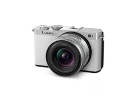 Panasonic LUMIX S9 with 18-40mm lens, versatile focal range for everyday shoots.