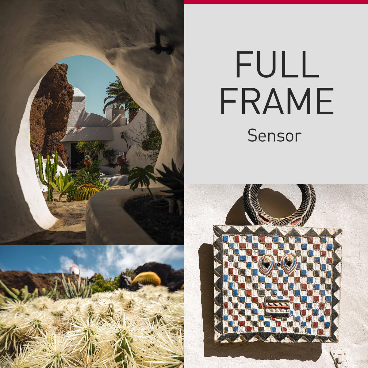 Panasonic LUMIX S9 compact design with pro features