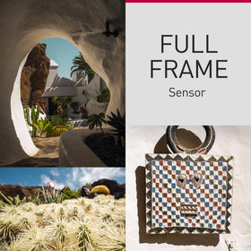 Panasonic LUMIX S9 open-gate framing for flexible social media crops.
