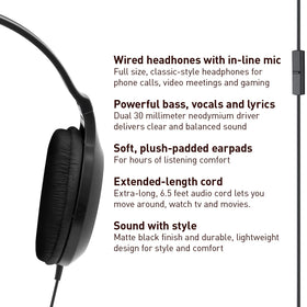 RP-HT161M microphone captures calls clearly during everyday use.