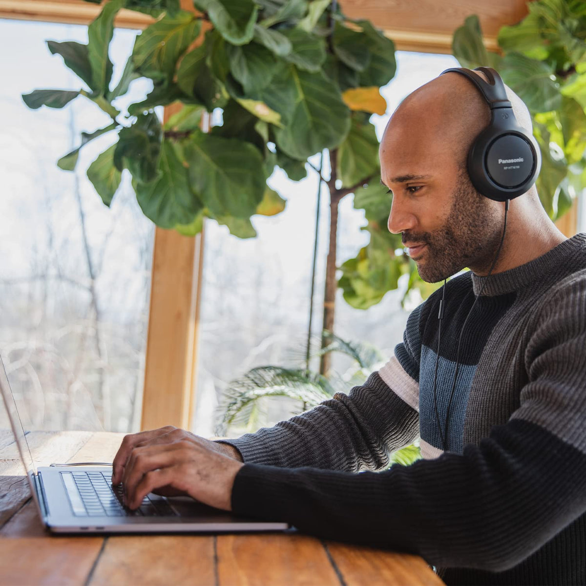 RP-HT161M plush earcups provide comfortable all-day wear.