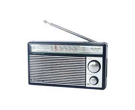 Panasonic RF-562D 8cm speaker close-up delivering clear voice and music sound
