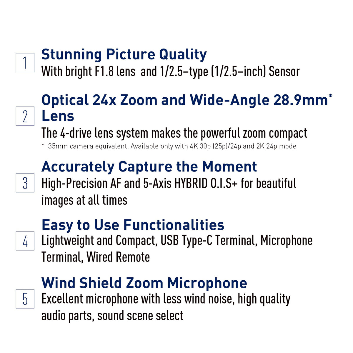 Panasonic V900 captures sharp footage in low light for sports and travel.