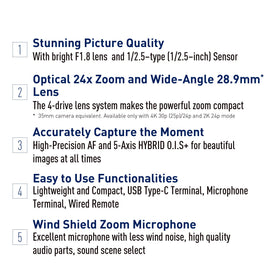Panasonic V900 captures sharp footage in low light for sports and travel.