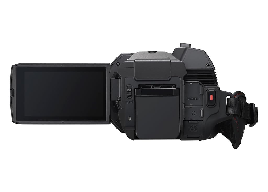 Panasonic X1200 24x optical zoom offers flexible framing options.