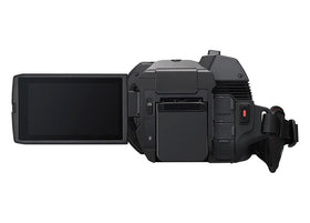 Panasonic X1200 24x optical zoom offers flexible framing options.