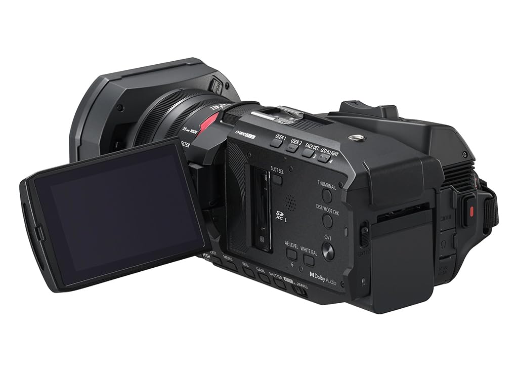 Panasonic X1200 Hybrid O.I.S. stabilizes handheld footage smoothly.