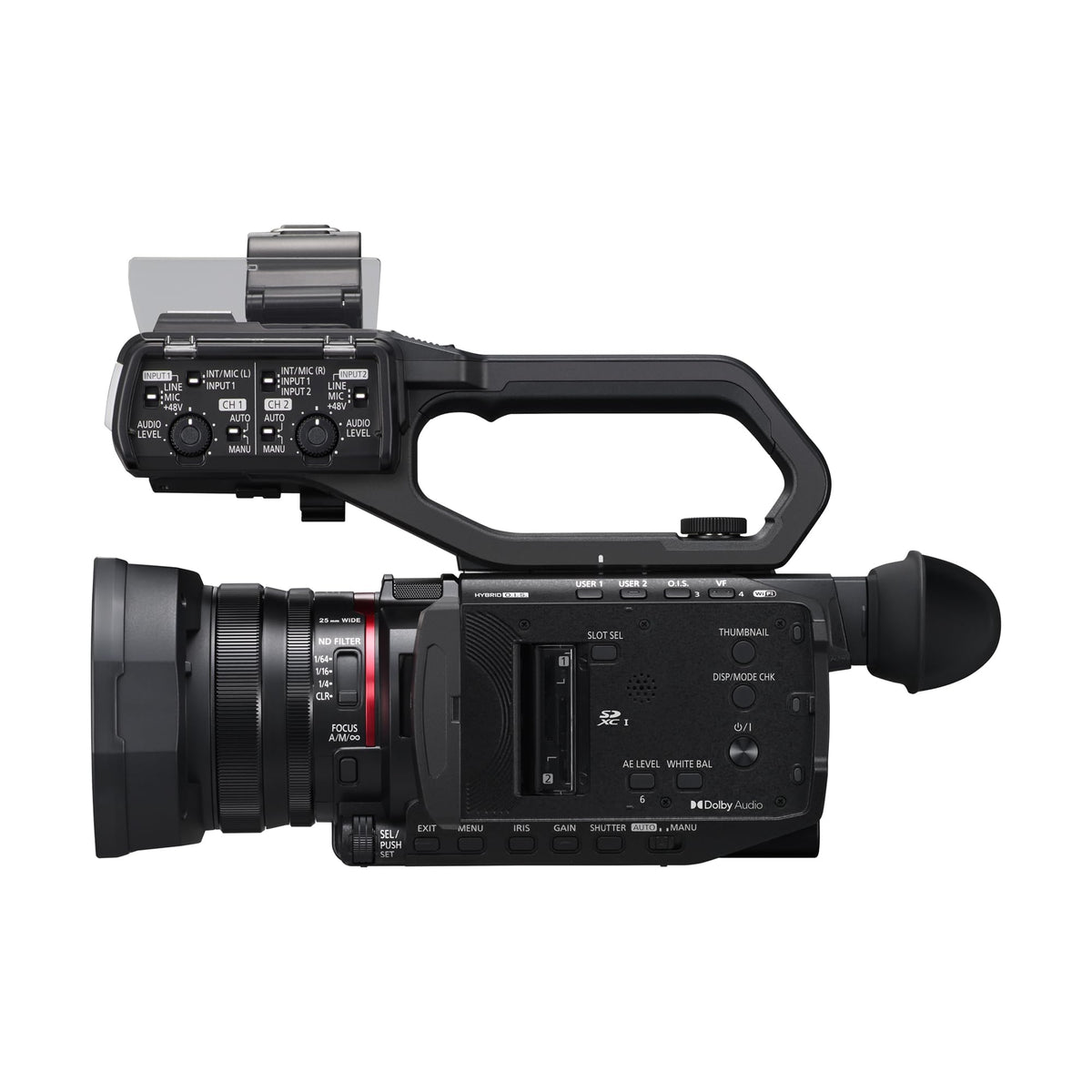 Panasonic X2100 records 4K 59.94p HEVC for high-detail video.