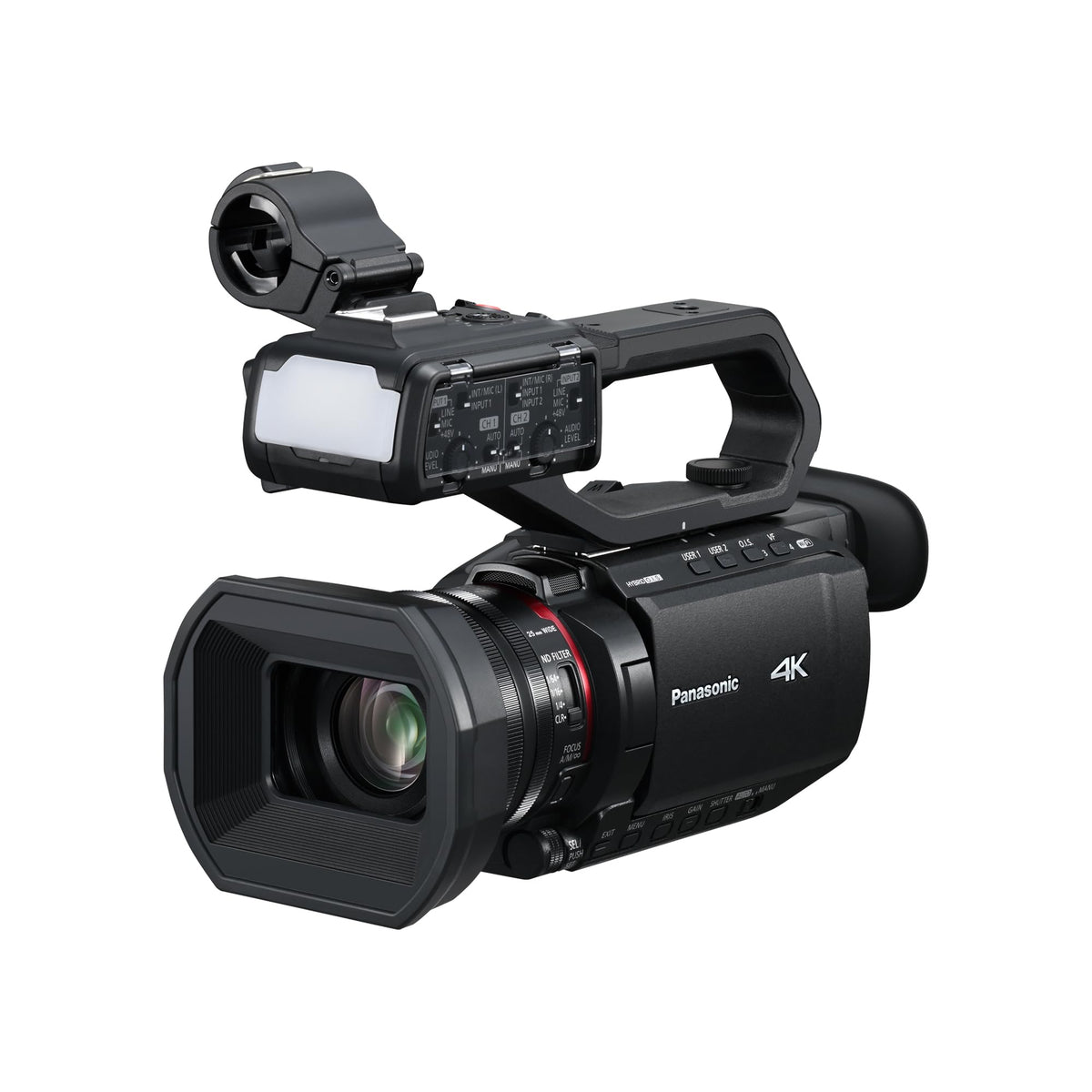 Panasonic X2100 compact body; ideal for on-the-go filming and run-and-gun shoots.