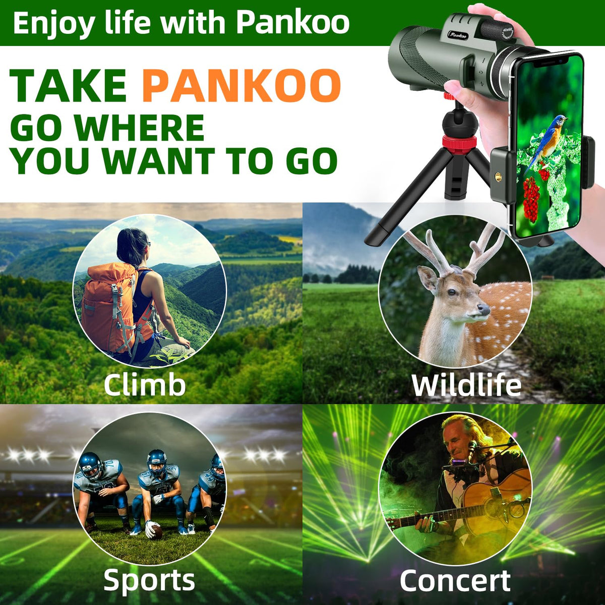 Pankoo size comparison in hand to show portable, travel-friendly scale
