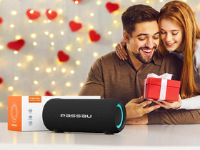 Passau on a beach gathering, rugged portable sound for outdoor events