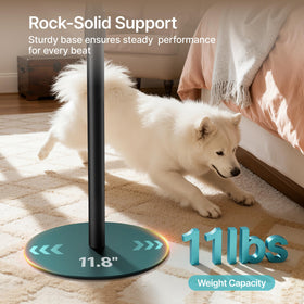 PEGZONE anti-slip base provides sturdy, stable support for speakers.