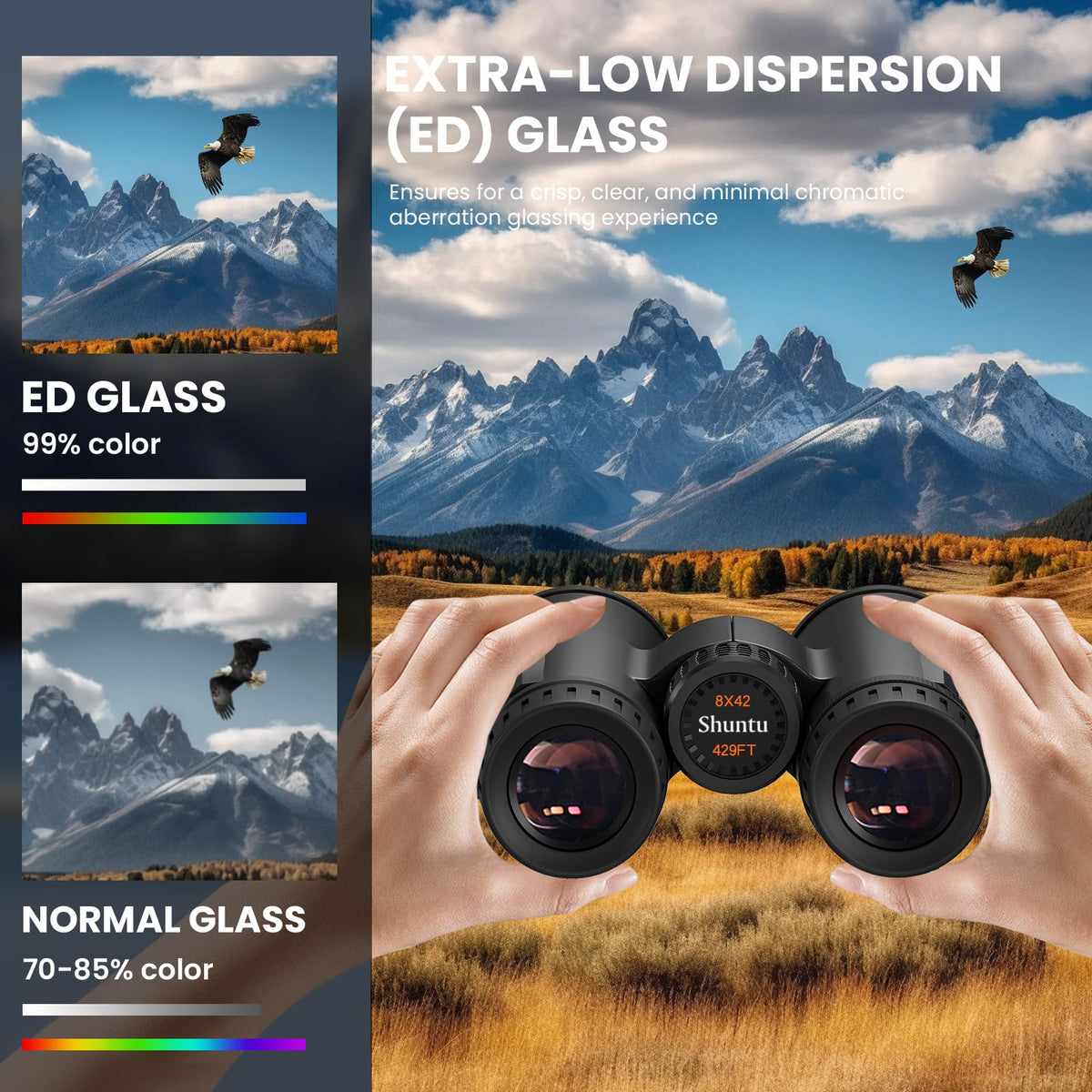 Peiketao ED HD Binoculars Bak4 prisms with phase coating boost contrast.
