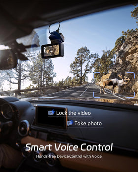 Pelsee P3 voice control keeps hands on the wheel while driving