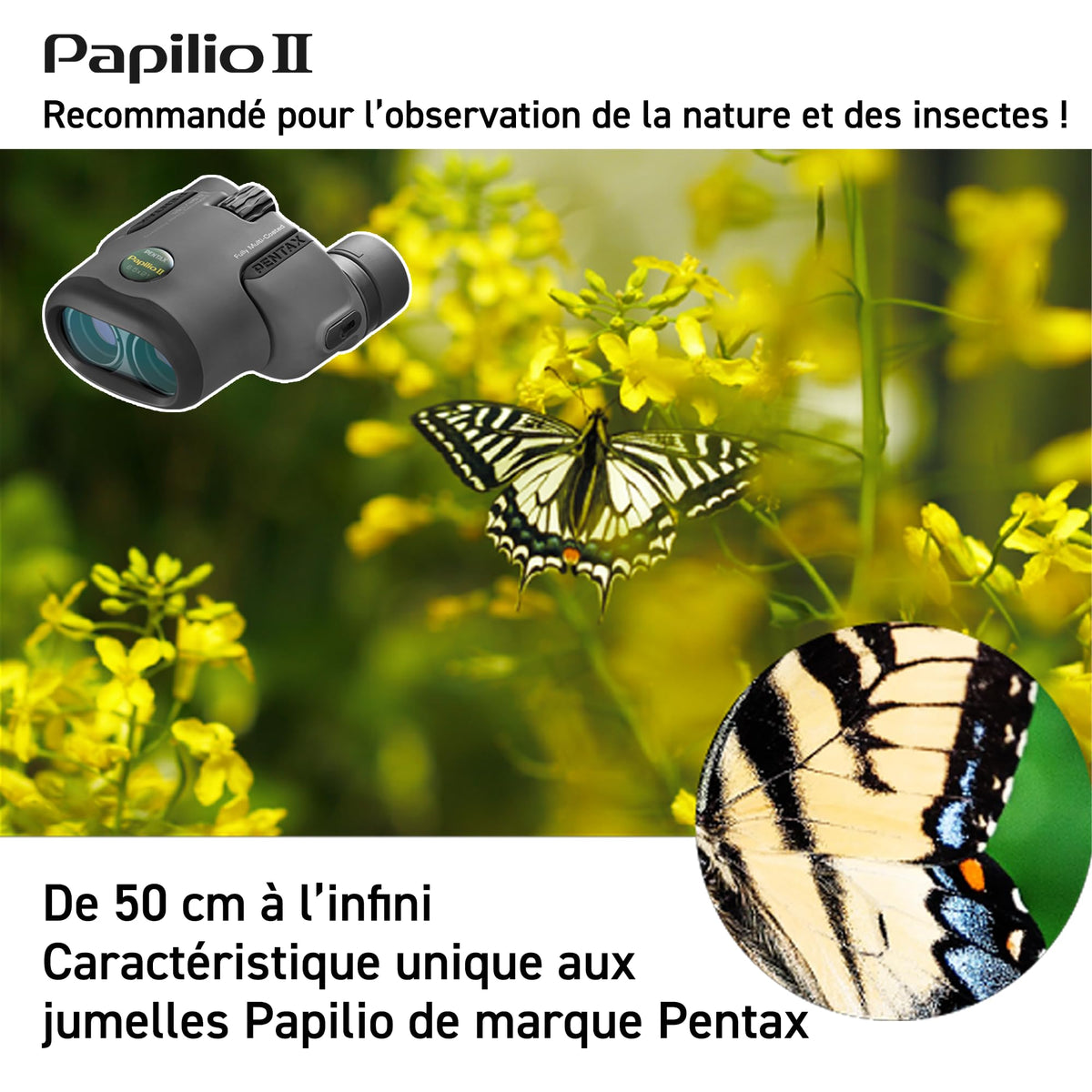 Pentax Papilio II 6.5x21 fully multi-coated optics for bright, true-to-life images