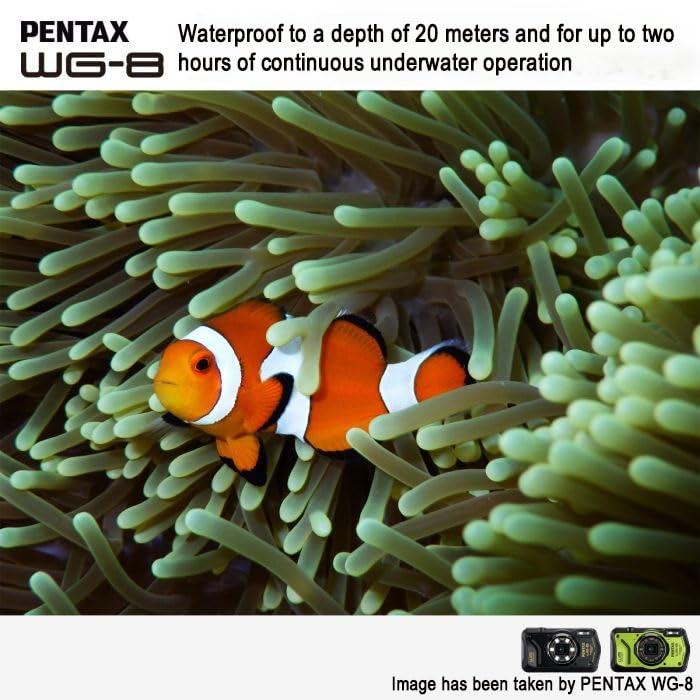 Pentax WG-8 webcam streaming for live presentations