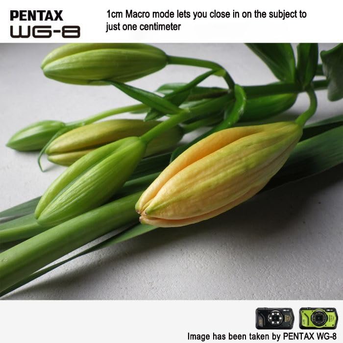 Pentax WG-8 Outdoor View Setting adjusts brightness for outdoor shooting